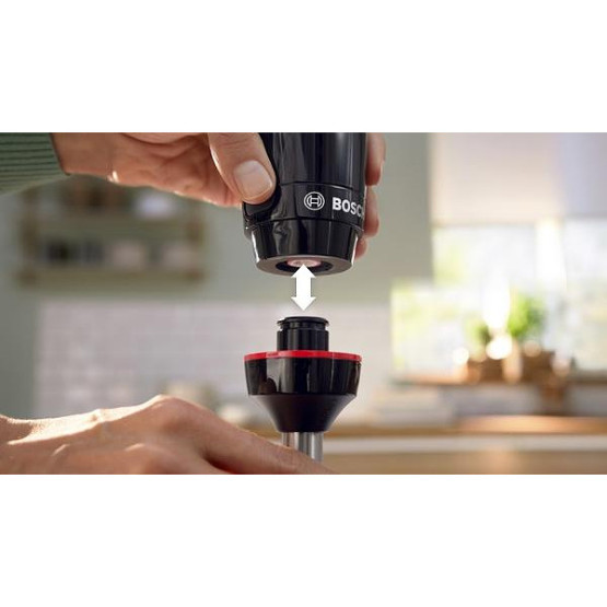 Пасатор Bosch MSM4B623