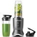Блендер NUTRIBULLET NB1206DGCC